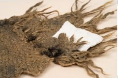 Foto von Textil (NHMW-PRAE-126320)